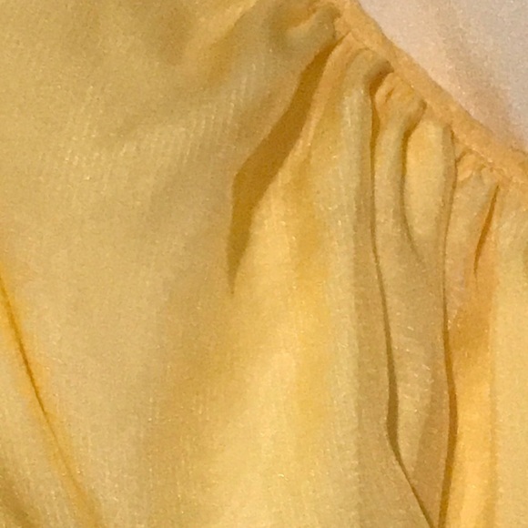 Walter Baker Ruched Sleeve Top - Picture 4 of 7